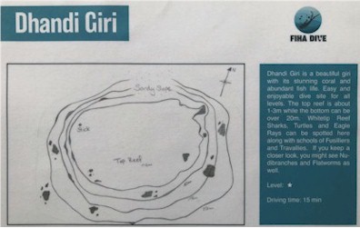Dhandi Giri